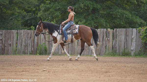 blue-eyed-paint-horse