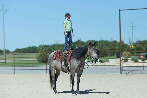 lesson-quarter-horse