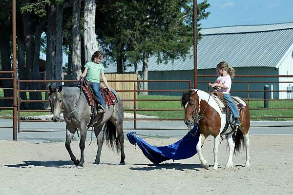 ranch-versatility-quarter-horse