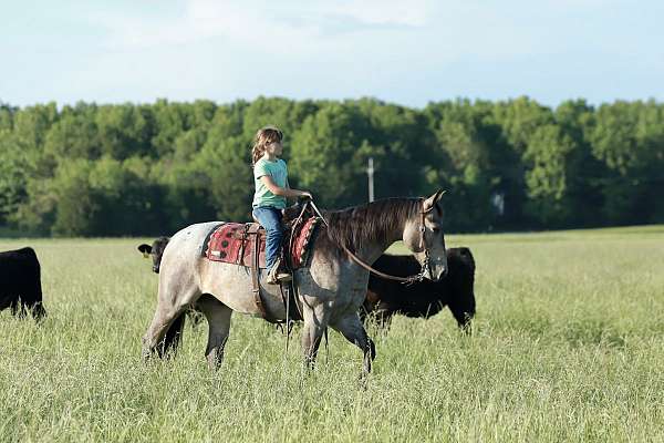 rodeo-quarter-horse