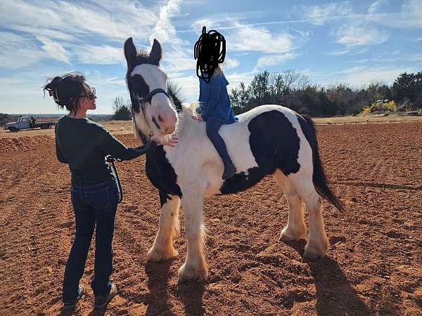 experience-gypsy-vanner-horse