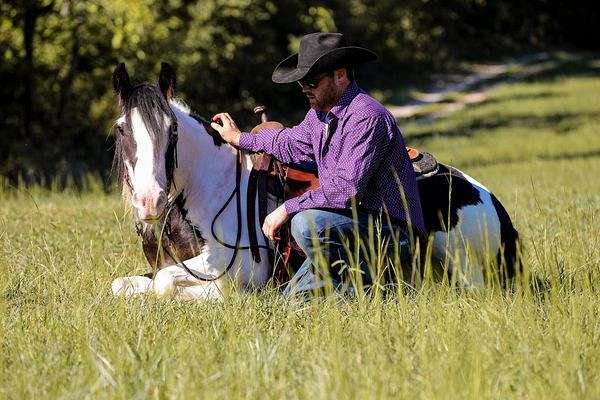 calf-roping-gypsy-vanner-horse