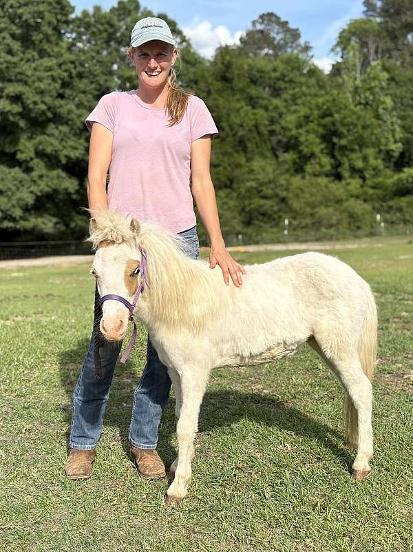 7-hand-white-pony
