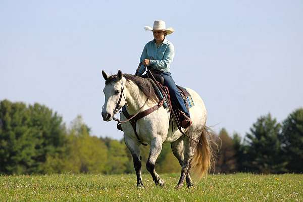 ranch-work-quarter-horse