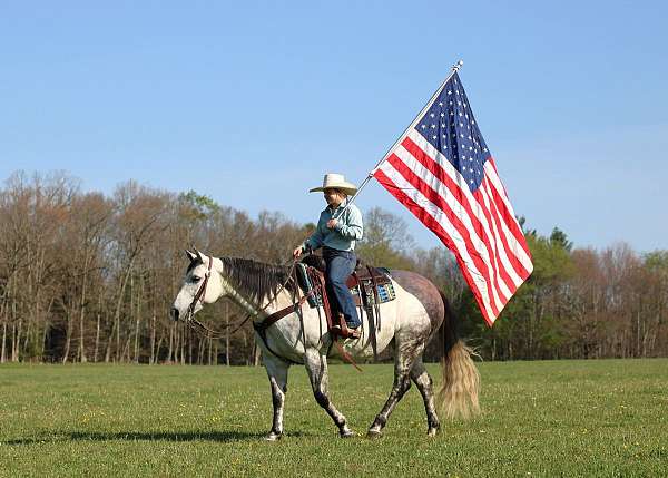 roping-quarter-horse