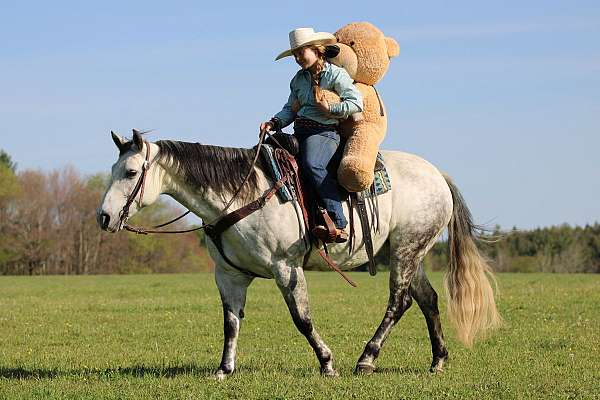 trail-riding-quarter-horse