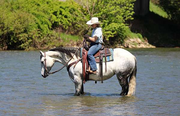 youth-quarter-horse