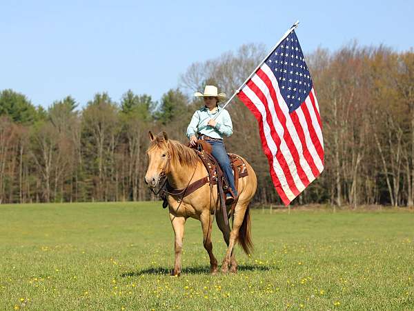 athletic-quarter-horse