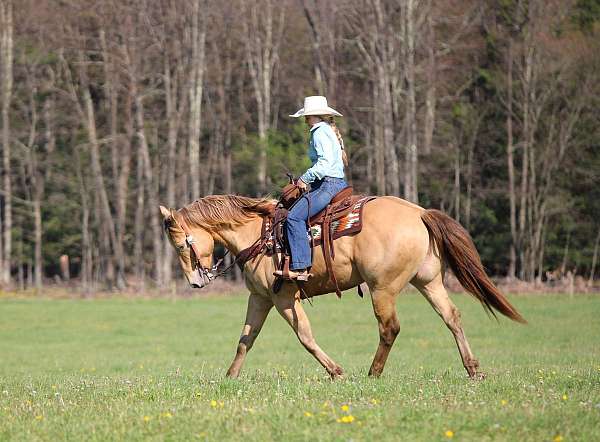 barrel-racing-quarter-horse