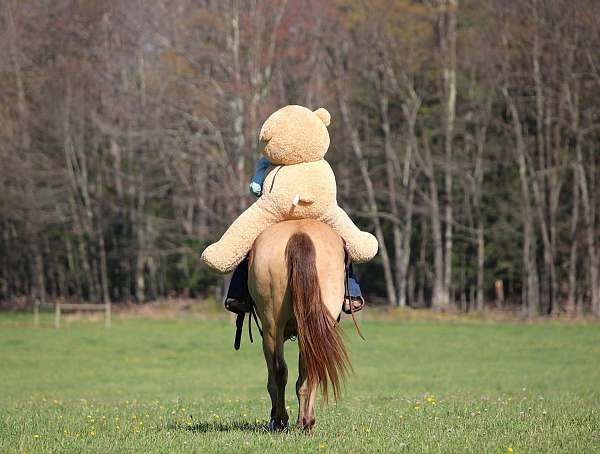 flashy-quarter-horse
