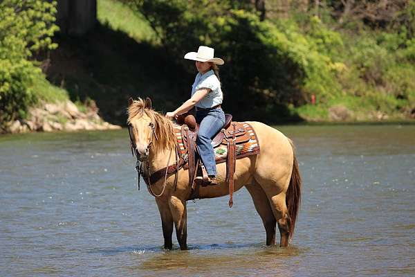 ranch-work-quarter-horse