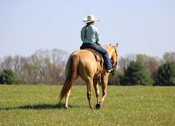 roping-quarter-horse