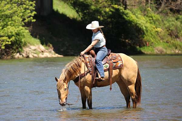 trail-riding-quarter-horse