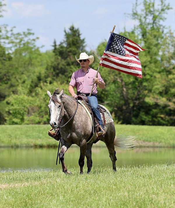 ranch-quarter-horse