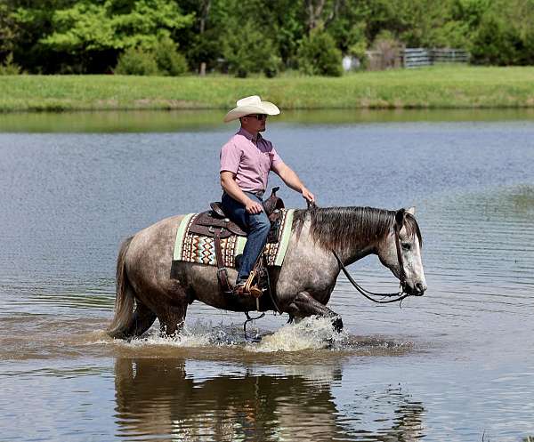 ranch-versatility-quarter-horse