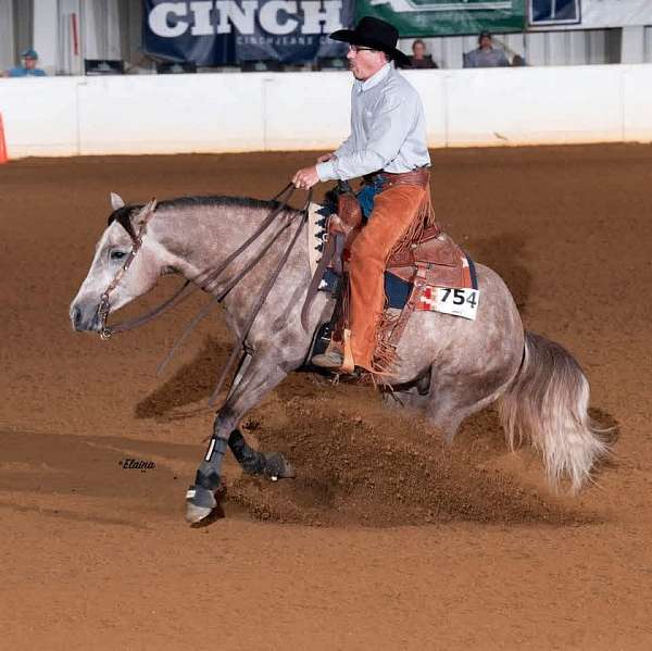 roping-quarter-horse