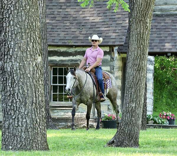 ranch-work-quarter-horse
