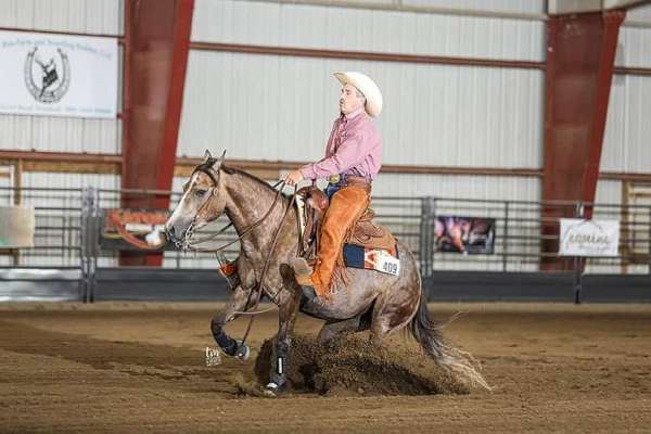trail-riding-quarter-horse