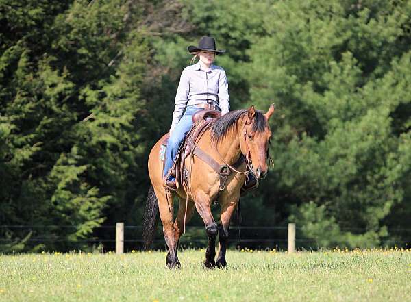 ranch-quarter-horse