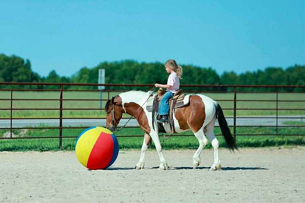 athletic-quarter-pony