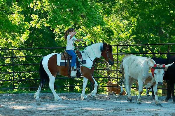 ridden-western-quarter-pony