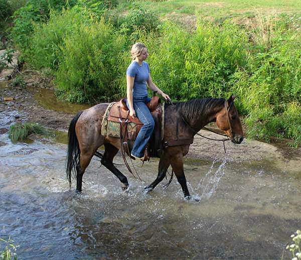 flashy-quarter-horse