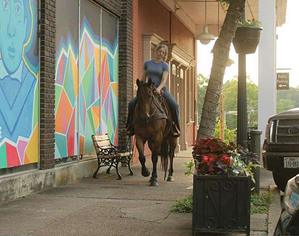 ranch-versatility-quarter-horse