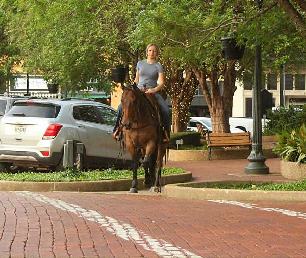 ranch-work-quarter-horse