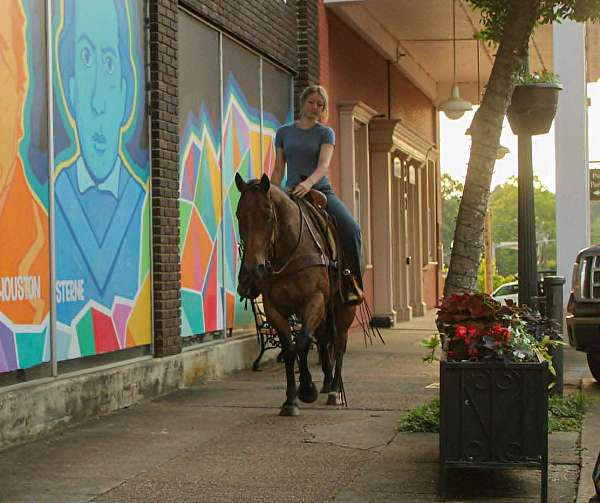 roping-quarter-horse
