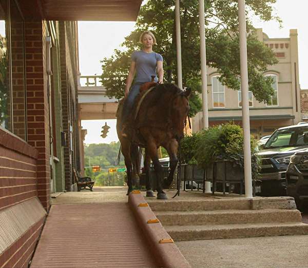 trail-riding-quarter-horse