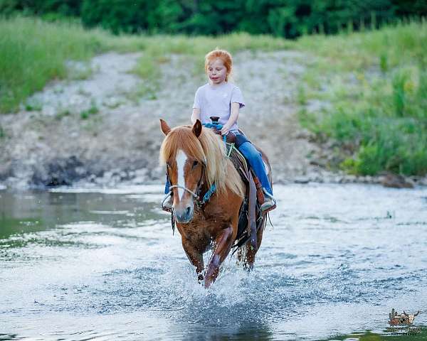 barrel-racing-quarter-pony