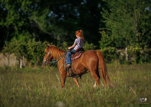 kid-safe-quarter-pony