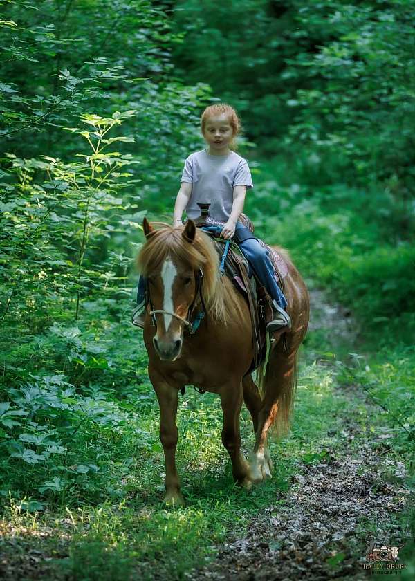 ranch-quarter-pony