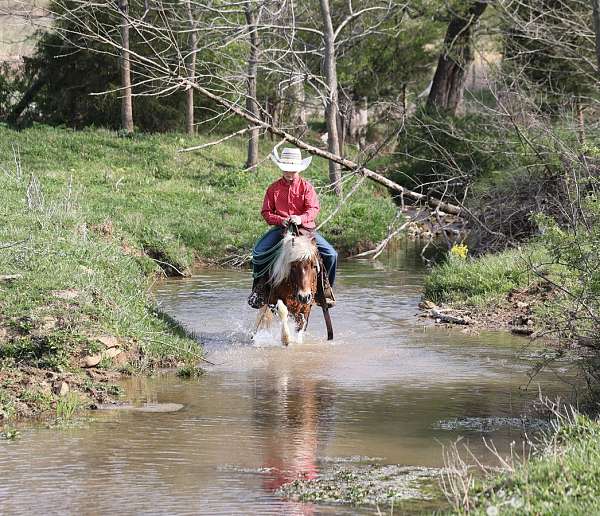 athletic-paint-pony