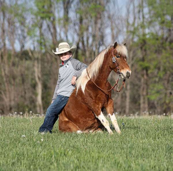 youth-paint-pony