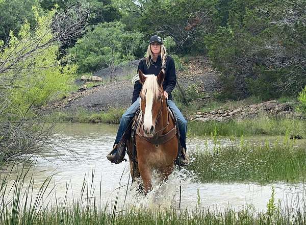 beginner-draft-horse