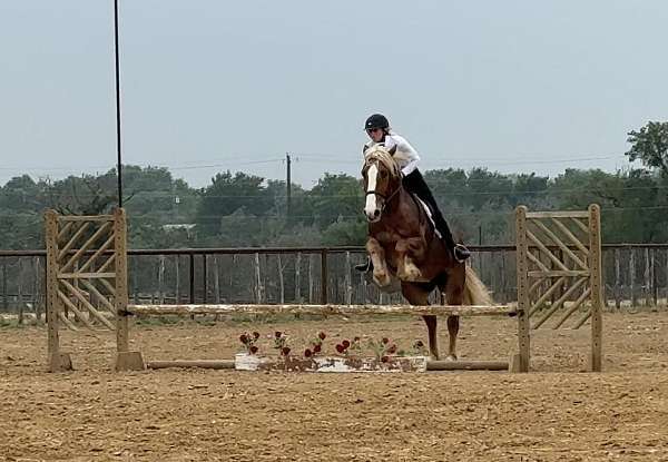 ranch-work-draft-horse