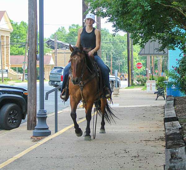 kid-safe-quarter-horse