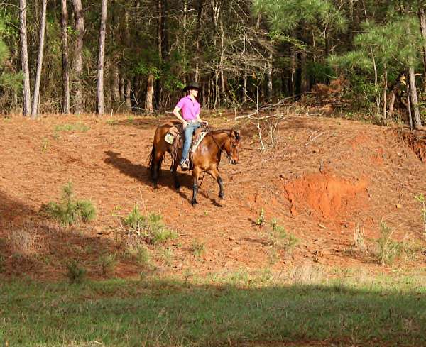 ranch-quarter-horse