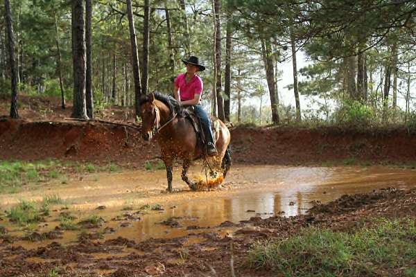 ranch-versatility-quarter-horse
