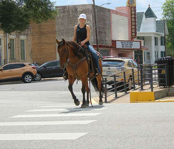 ranch-work-quarter-horse