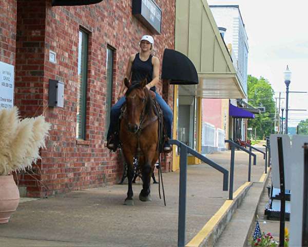 roping-quarter-horse