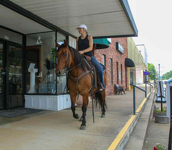 trail-riding-quarter-horse