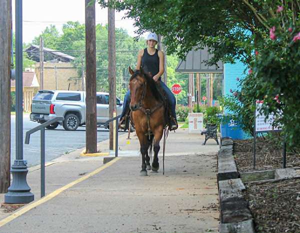 western-riding-quarter-horse
