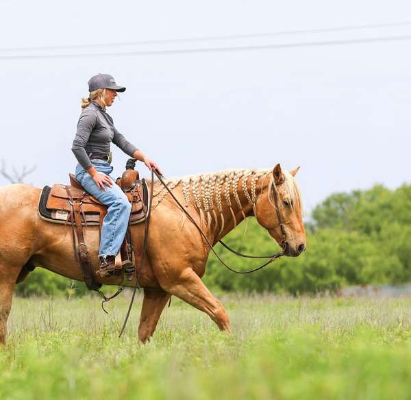 barrel-quarter-pony
