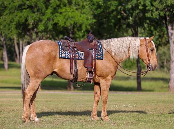 athletic-quarter-pony