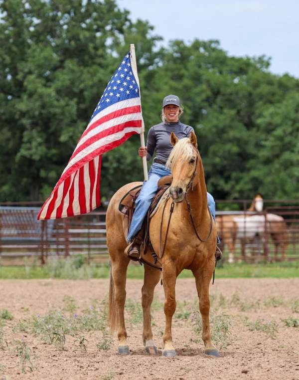 ranch-quarter-pony