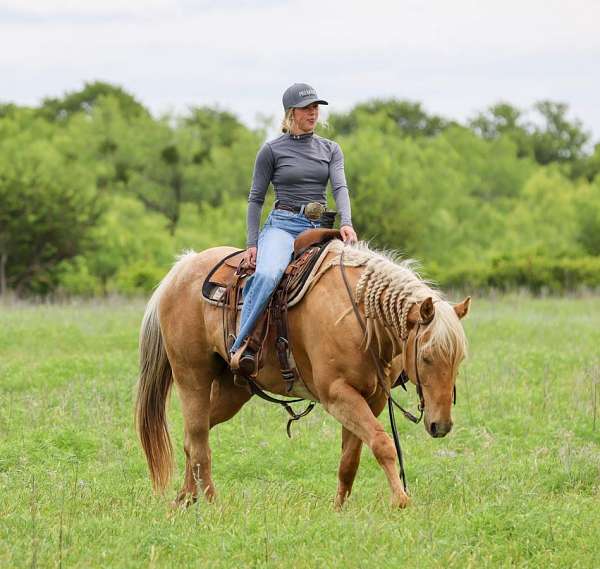 roping-quarter-pony