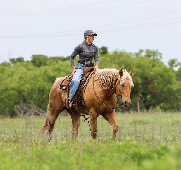 show-quarter-pony