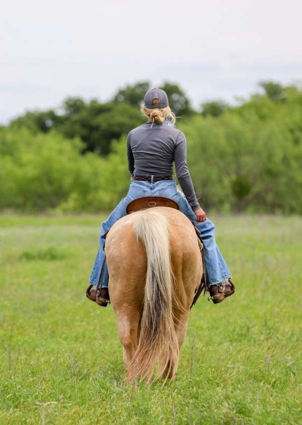 trail-riding-quarter-pony
